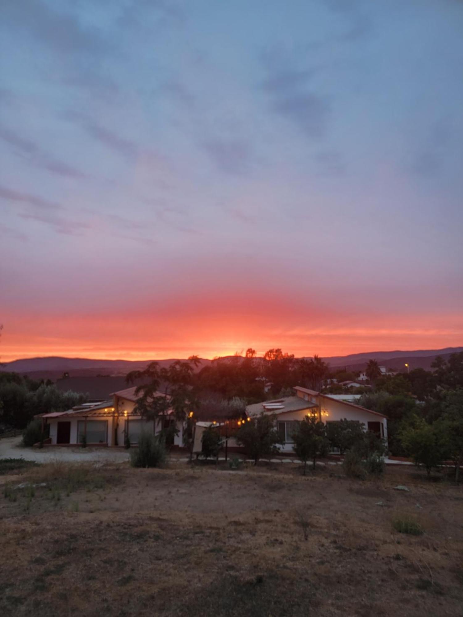 Tierra Mia Hacienda Ruta Del Vino Ξενοδοχείο Valle de Guadalupe Εξωτερικό φωτογραφία