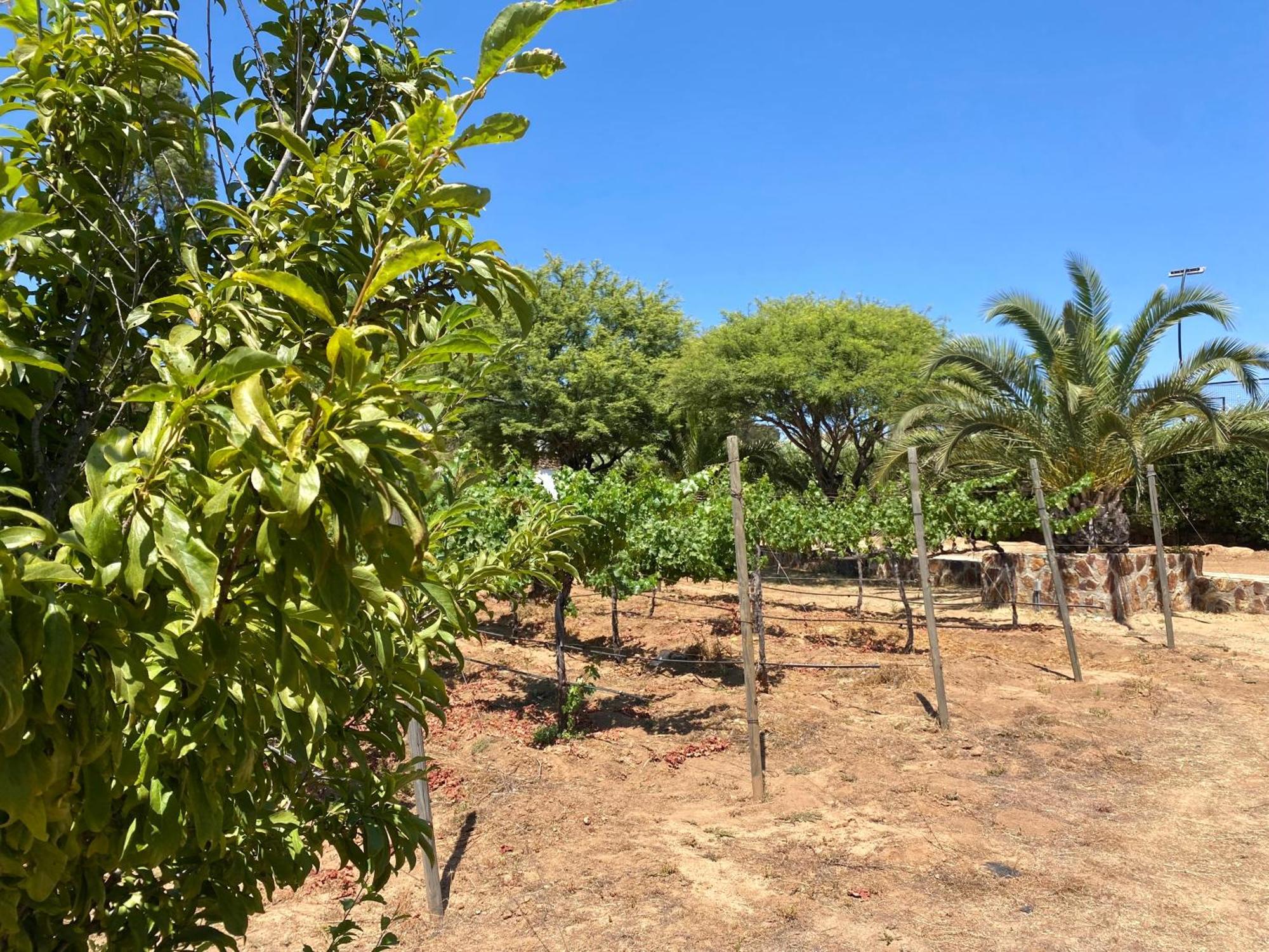 Tierra Mia Hacienda Ruta Del Vino Ξενοδοχείο Valle de Guadalupe Εξωτερικό φωτογραφία